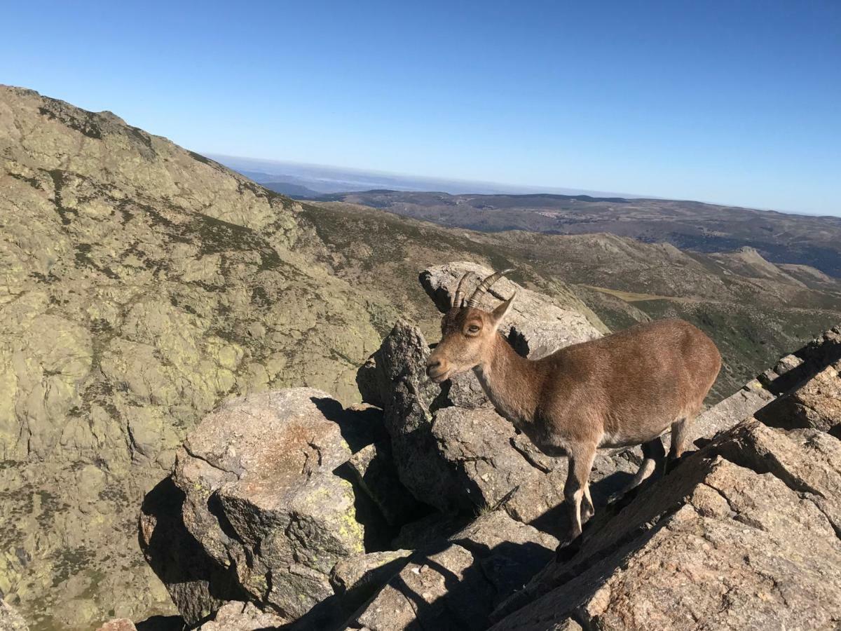 El Llano - El Hornillo, Tu Pueblo En La Sierra De Gredos. Exterior foto